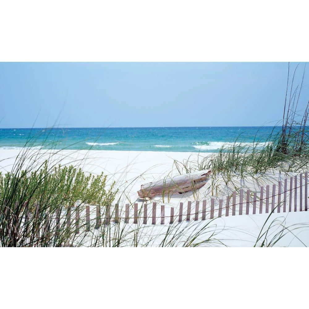 Biggies Carolina Coast View - Weather Proof Scene for Window Wells or Wall Mural - 80 in. x 40 in. 3 Biggies Carolina Coast View - Weather Proof Scene for Window Wells or Wall Mural - 80 in. x 40 in.