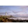 Biggies Coastlight View - Weather Proof Scene for Window Wells or Wall Mural - 100 in. x 60 in.