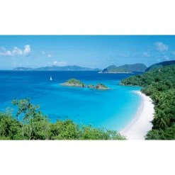 Biggies Island Cove View - Weather Proof Scene for Window Wells or Wall Mural - 80 in. x 40 in.