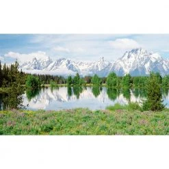 Biggies Mountain Flowers View - Weather Proof Scene for Window Wells or Wall Mural - 100 in. x 60 in.
