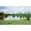 Biggies Mountain Flower View - Weather Proof Scene for Window Wells or Wall Mural - 120 in. x 60 in -Biggie Sales biggies window wells accessories bg ww mfw 120 64 1000