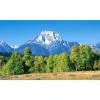 Biggies Mountain View - Weather Proof Scene for Window Wells or Wall Mural - 100 in. x 60 in. 2 Biggies Mountain View - Weather Proof Scene for Window Wells or Wall Mural - 100 in. x 60 in. -Biggie Sales biggies window wells accessories bg ww mtn 100 64 1000