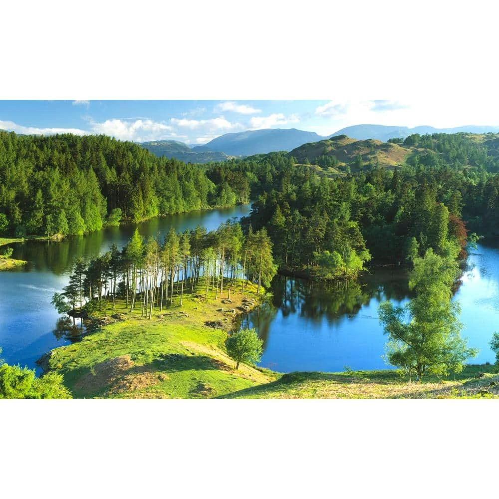 Biggies Peninsula View - Weather Proof Scene for Window Wells or Wall Mural - 100 in. x 60 in. 3 Biggies Peninsula View - Weather Proof Scene for Window Wells or Wall Mural - 100 in. x 60 in.