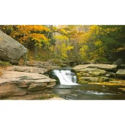 Biggies Stream View - Weather Proof Scene for Window Wells or Wall Mural - 120 in. x 60 in