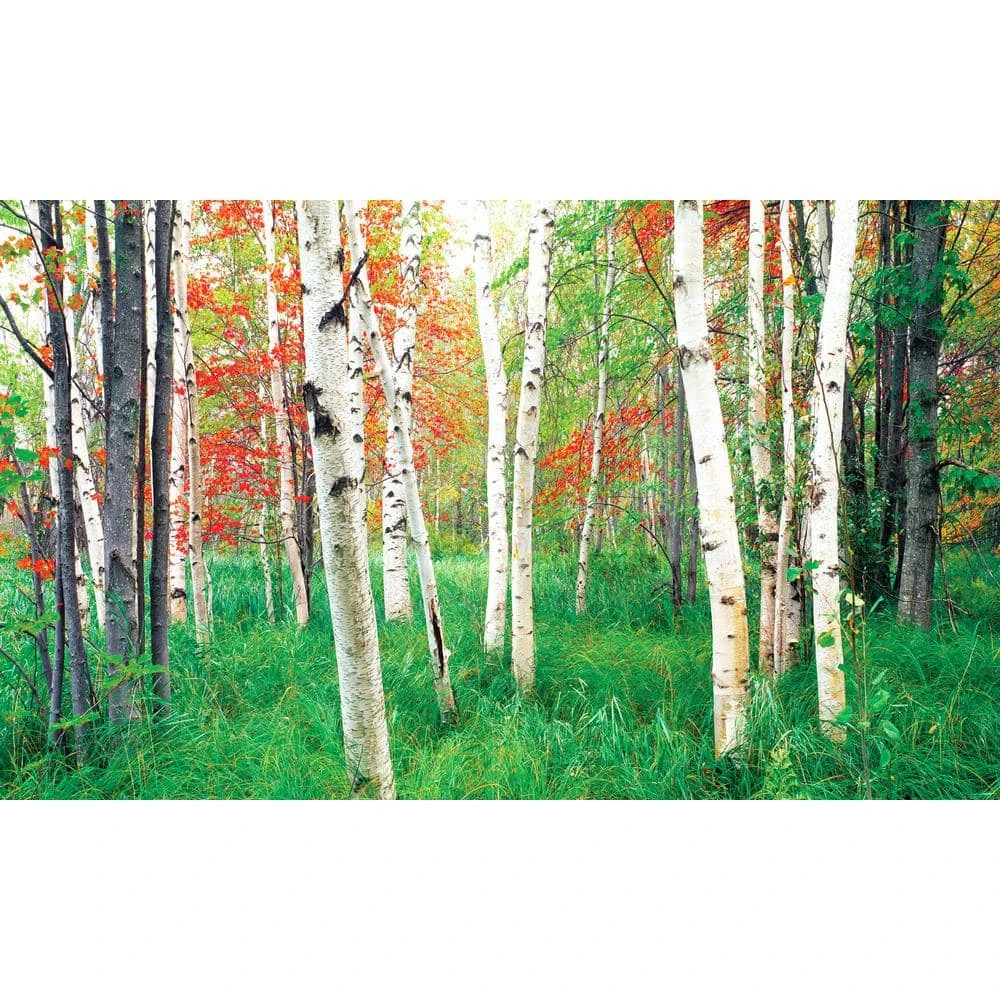 Biggies Woods View - Weather Proof Scene for Window Wells or Wall Mural - 80 in. x 40 in. 3 Biggies Woods View - Weather Proof Scene for Window Wells or Wall Mural - 80 in. x 40 in.