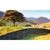 Biggies Country View - Weather Proof Scene for Window Wells or Wall Mural - 100 in. x 60 in.