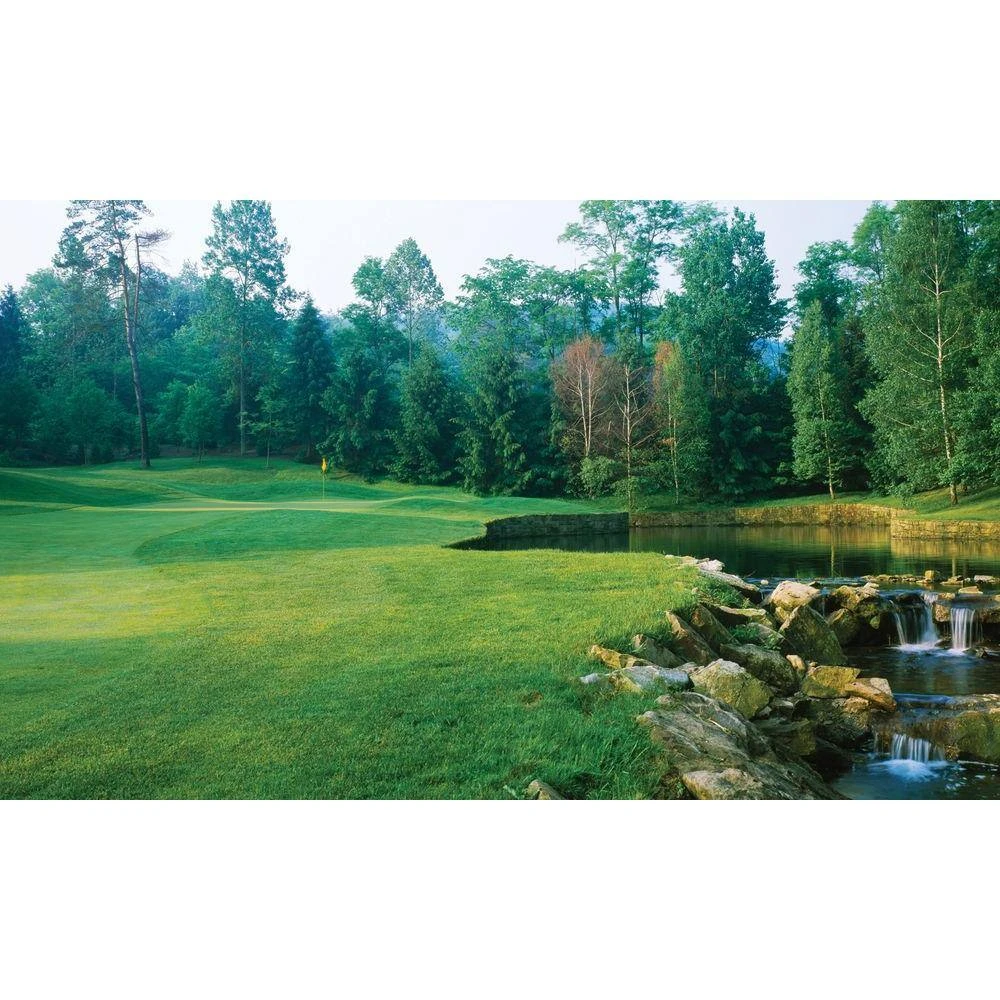 Biggies Fairway View - Weather Proof Scene for Window Wells or Wall Mural - 120 in. x 60 in. 3 Biggies Fairway View - Weather Proof Scene for Window Wells or Wall Mural - 120 in. x 60 in.