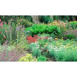 Biggies Flower View - Weather Proof Scene for Window Wells or Wall Mural - 100 in. x 60 in.