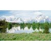 Biggies Mountain Flower View - Weather Proof Scene for Window Wells or Wall Mural - 120 in. x 60 in. -Biggie Sales mountain flower biggies window wells accessories ww mfw 120 64 1000