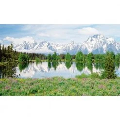 Biggies Mountain Flower View - Weather Proof Scene for Window Wells or Wall Mural - 120 in. x 60 in.