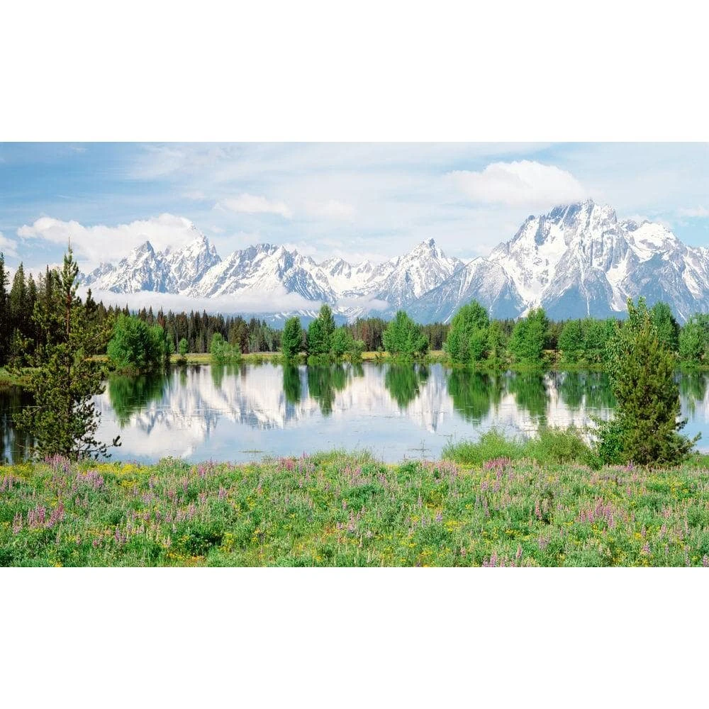 Biggies Mountain Flower View - Weather Proof Scene for Window Wells or Wall Mural - 120 in. x 60 in. 3 Biggies Mountain Flower View - Weather Proof Scene for Window Wells or Wall Mural - 120 in. x 60 in.