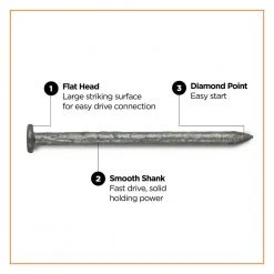 PRO-FIT 2-1/2 in. (8D) Hot Dipped Galvanized Smooth Common Nail 1 lb. (93-Count) 10 PRO-FIT 2-1/2 in. (8D) Hot Dipped Galvanized Smooth Common Nail 1 lb. (93-Count) -Biggie Sales pro fit common nails 54158 4f 1000
