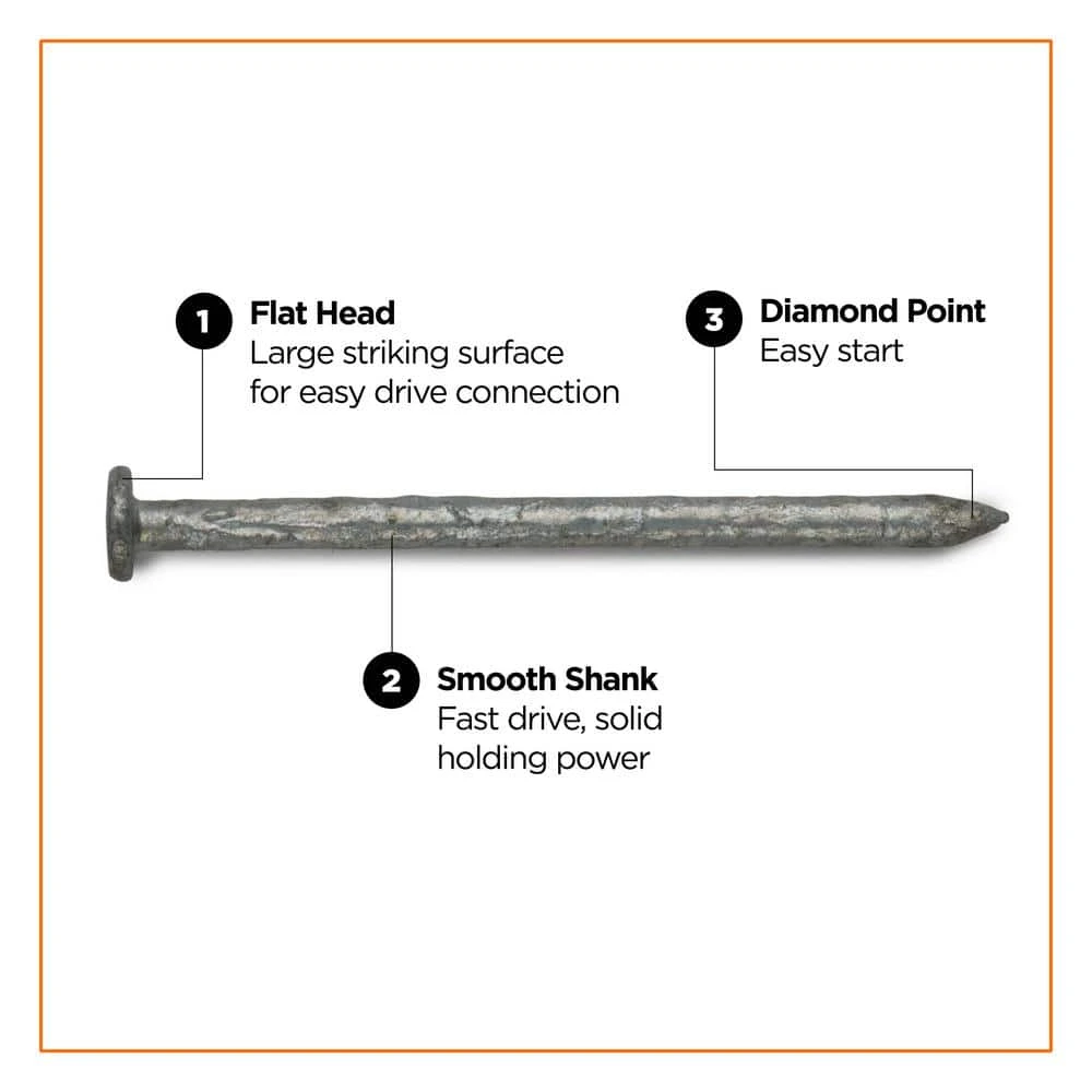 PRO-FIT 3 in. (10D) Hot Dipped Galvanized Smooth Common Nail 1 lb. (63-Count) 5 PRO-FIT 3 in. (10D) Hot Dipped Galvanized Smooth Common Nail 1 lb. (63-Count) - Image 3