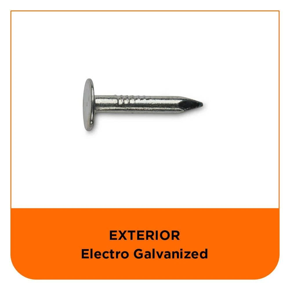 PRO-FIT 1 in. (2D) Electro-Galvanized Roofing Nail 5 lbs. (1305-Count) 7 PRO-FIT 1 in. (2D) Electro-Galvanized Roofing Nail 5 lbs. (1305-Count) - Image 5