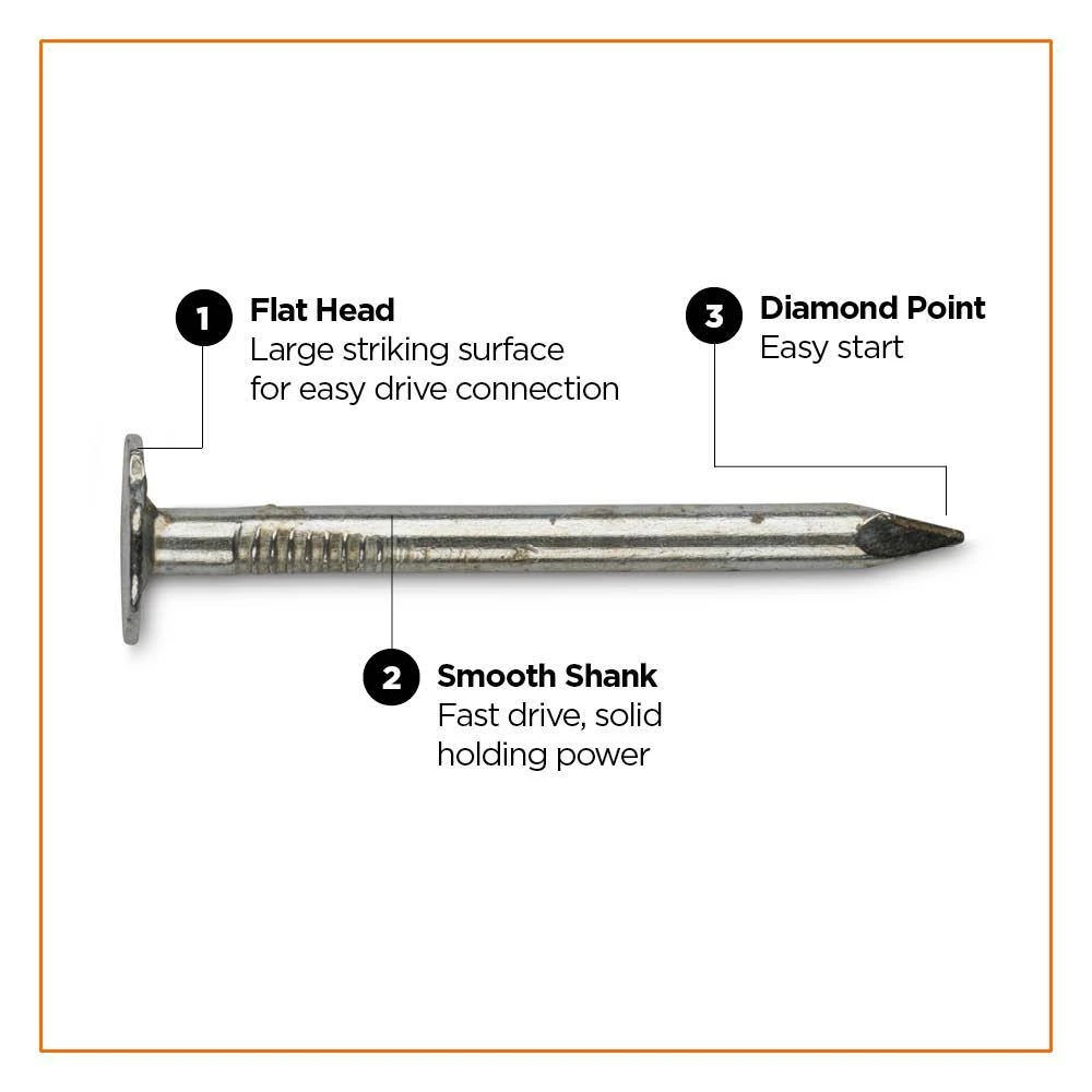 PRO-FIT 1-3/4 in Electro Galvanized Roofing Nail 1 lbs. (155-Count) 5 PRO-FIT 1-3/4 in Electro Galvanized Roofing Nail 1 lbs. (155-Count) - Image 3