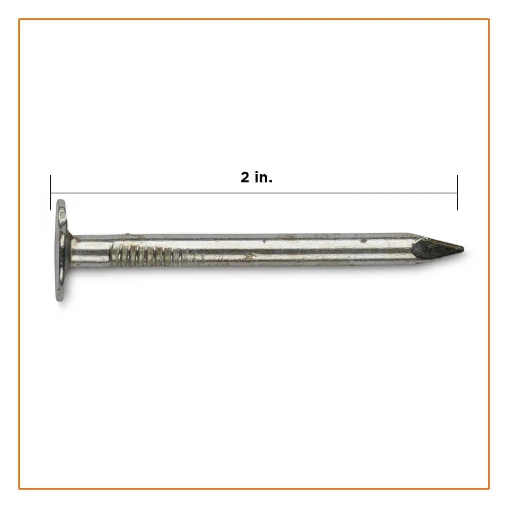 PRO-FIT 2 in. Electro-Galvanized Metal Roofing Nails - 25 lbs./Pail 4 PRO-FIT 2 in. Electro-Galvanized Metal Roofing Nails - 25 lbs./Pail - Image 2