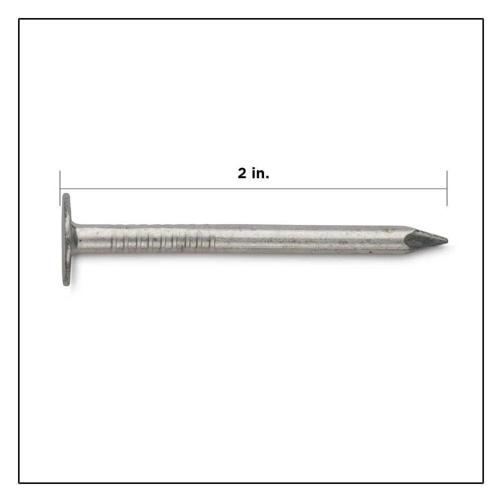 PRO-FIT 2 in. Aluminum Siding Nail 1 lb. (432-Count) 4 PRO-FIT 2 in. Aluminum Siding Nail 1 lb. (432-Count) - Image 2