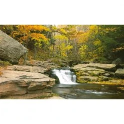 Biggies Stream View - Weather Proof Scene for Window Wells or Wall Mural - 120 in. x 60 in.