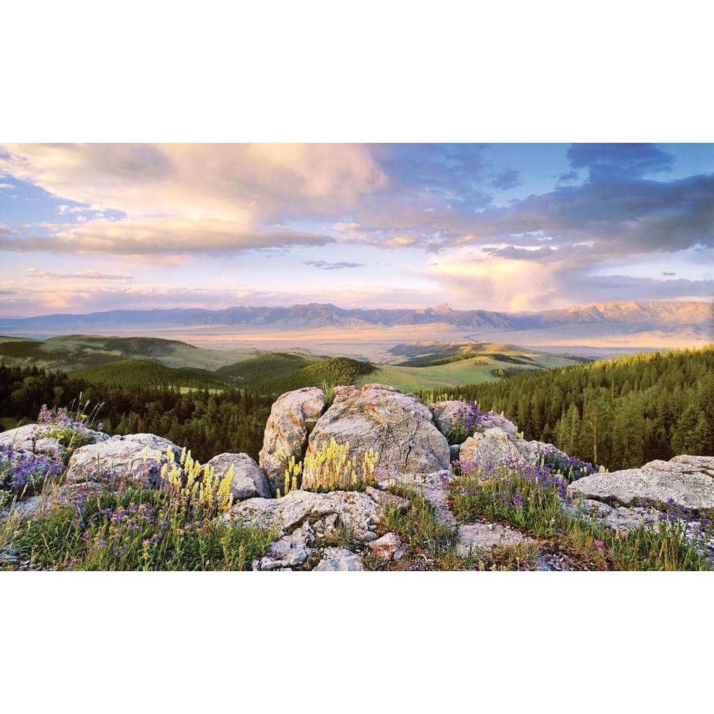 Biggies Sunrise View - Weather Proof Scene for Window Wells or Wall Mural - 100 in. x 60 in. 3 Biggies Sunrise View - Weather Proof Scene for Window Wells or Wall Mural - 100 in. x 60 in.