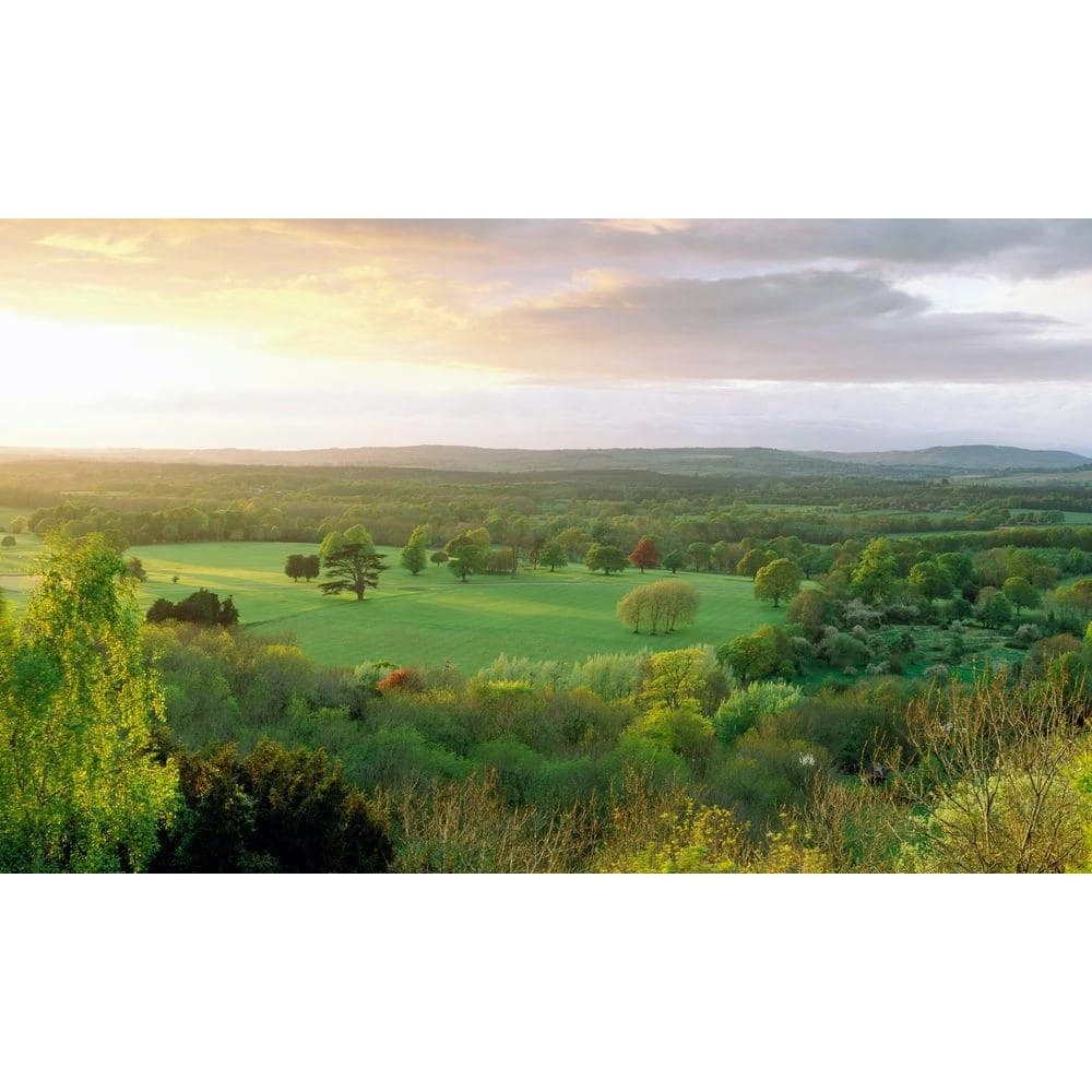 Biggies Valley View - Weather Proof Scene for Window Wells or Wall Mural - 120 in. x 60 in. 3 Biggies Valley View - Weather Proof Scene for Window Wells or Wall Mural - 120 in. x 60 in.