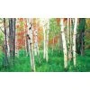 Biggies Woods View - Weather Proof Scene for Window Wells or Wall Mural - 120 in. x 60 in. -Biggie Sales woods biggies window wells accessories ww wds 120 64 1000