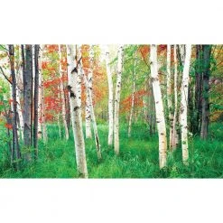 Biggies Woods View - Weather Proof Scene for Window Wells or Wall Mural - 120 in. x 60 in.